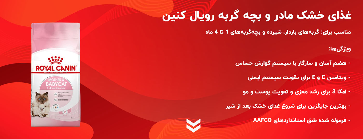 غذای خشک مادر و بچه گربه رویال کنین