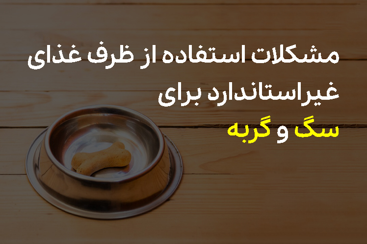 مشکلات استفاده از ظرف غذای غیراستاندارد برای سگ و گربه