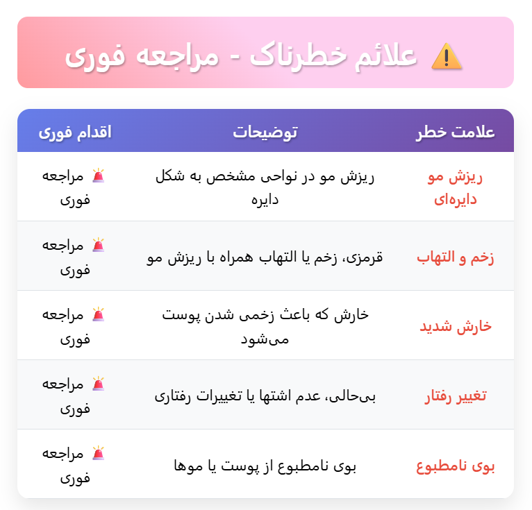 علائم خطرناک در ریزش موی گربه