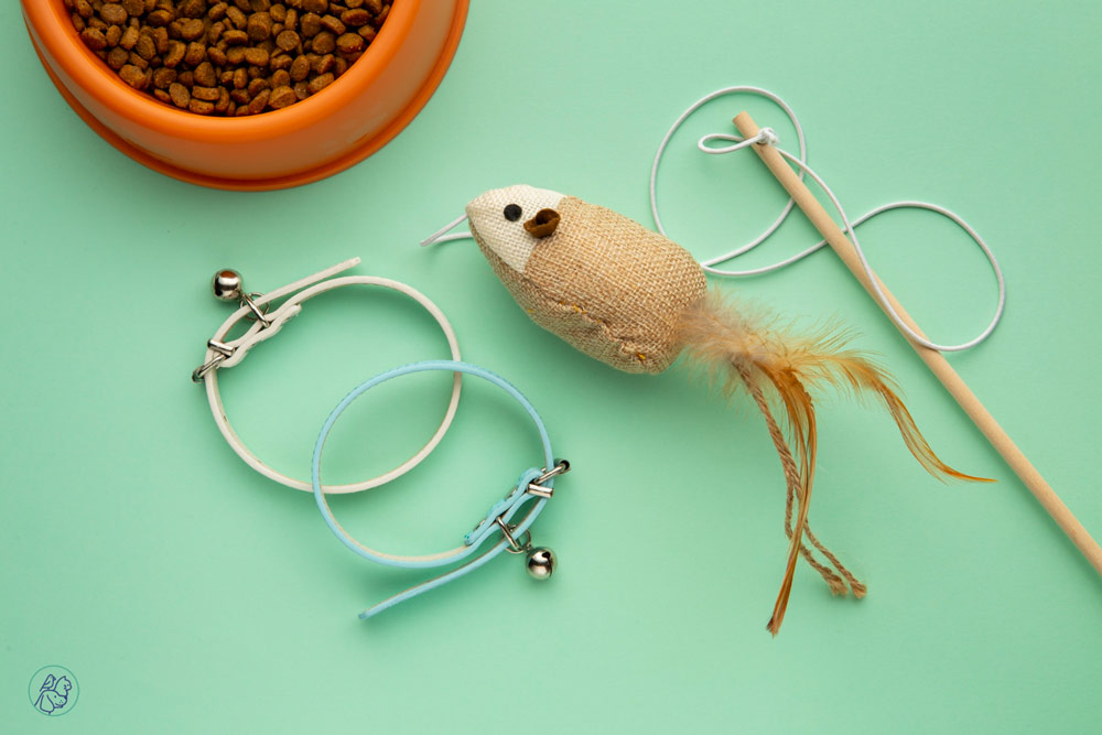 اسباببازی تعاملی گربه نقش مهمی در تقویت هوش، تمرکز و مهارت حل مسئله دارد.