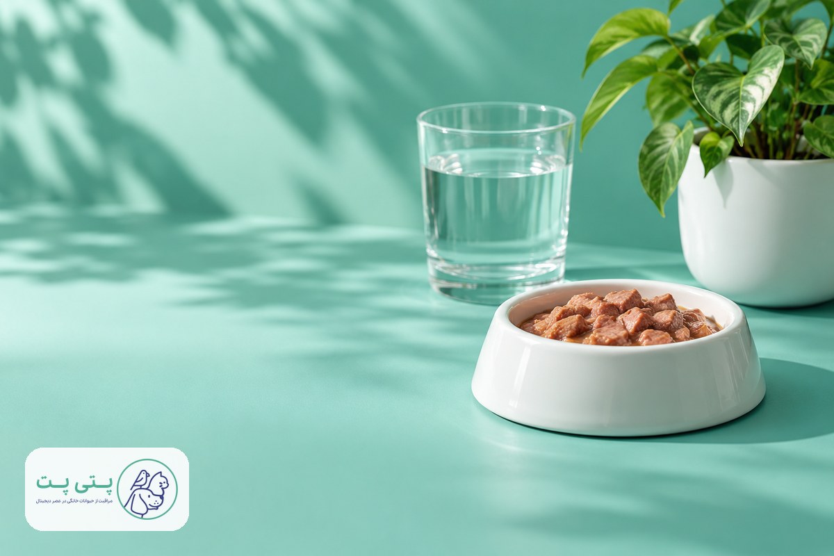 غذای مرطوب گربه در کاسه کوچک کنار ظرف آب