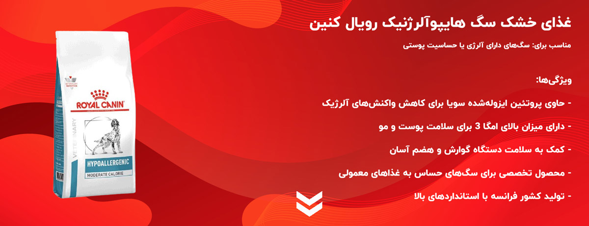 برای سگ‌هایی که به غذاهای معمولی حساسیت دارند، غذای خشک سگ هایپوآلرژنیک رویال کنین گزینه‌ای مطمئن و تخصصی برای کاهش خارش و بهبود سلامت پوست و مو است.