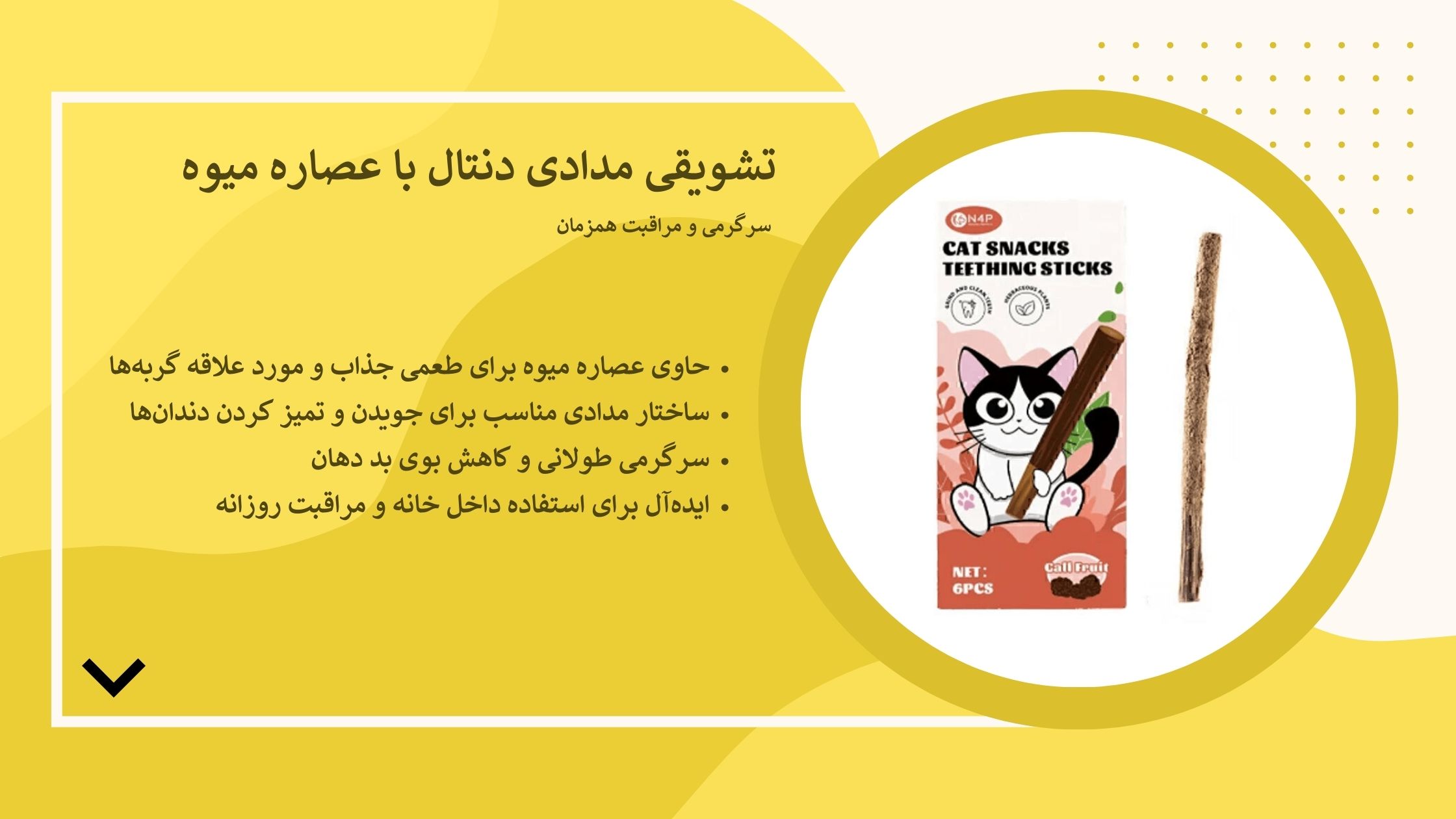 تشویقی سالم، دندان‌های تمیز و بازیگوشی گربه