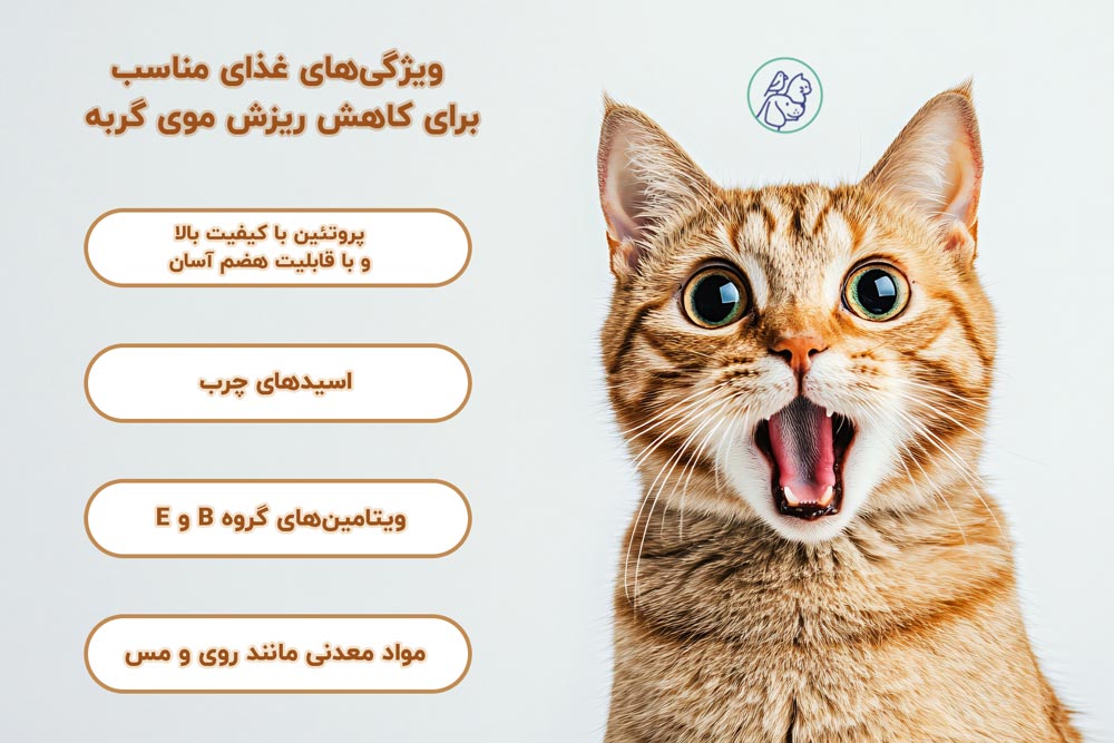 ویژگی‌های غذای مناسب برای کاهش ریزش موی گربه