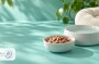 غذای گربه سالمند؛ از چه سنی و با چه ترکیبی؟