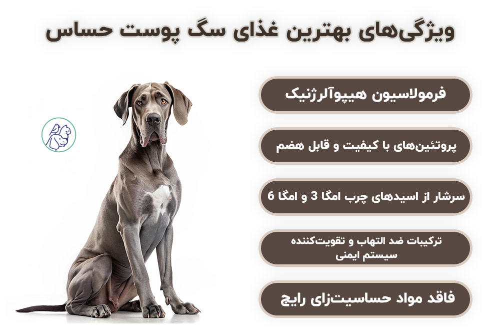ویژگی‌های بهترین غذای سگ پوست حساس