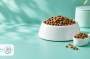 غذای سگ عقیمشده؛ آیا غذا باید عوض شود و چه برچسبی بهتر است؟