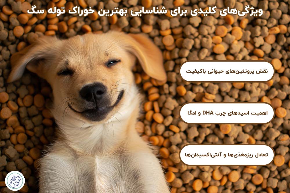 ویژگی‌های کلیدی برای شناسایی بهترین خوراک توله سگ