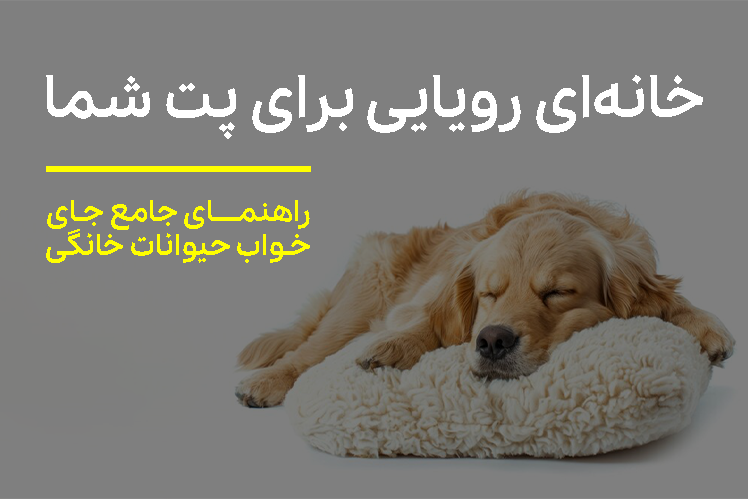 راهنمای جامع جای خواب حیوانات خانگی | خانه‌ای رویایی برای سگ و گربه شما