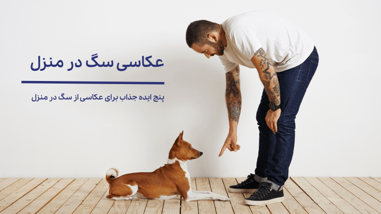 ۵ ژست جذاب برای عکس سگ خانگی | ایده‌های حرفه‌ای برای عکاسی از سگ‌ها