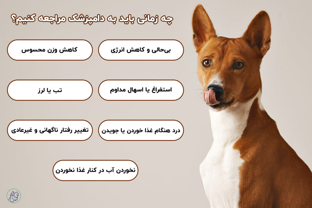 شناخت زمان درست مراجعه به دامپزشک، نقش مهمی در حفظ سلامت سگ دارد.