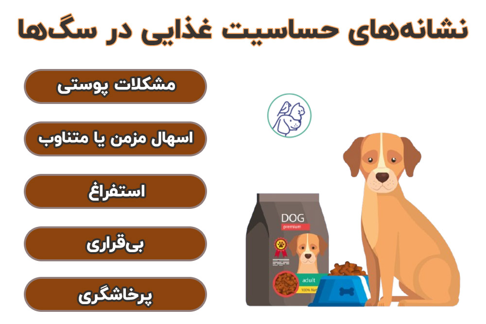 نشانه‌های حساسیت غذایی در سگ‌ها