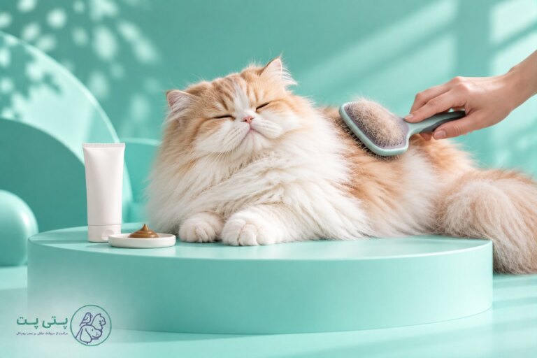مالت گربه چیست؟ کاربرد، طریقه مصرف و انتخاب بهترین مالت