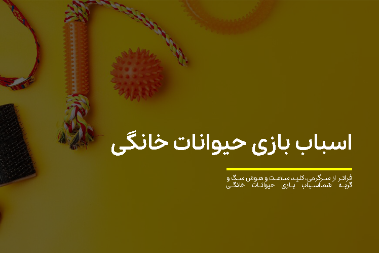راهنمای نهایی اسباب بازی حیوانات خانگی: فراتر از سرگرمی، کلید سلامت و هوش سگ و گربه شما