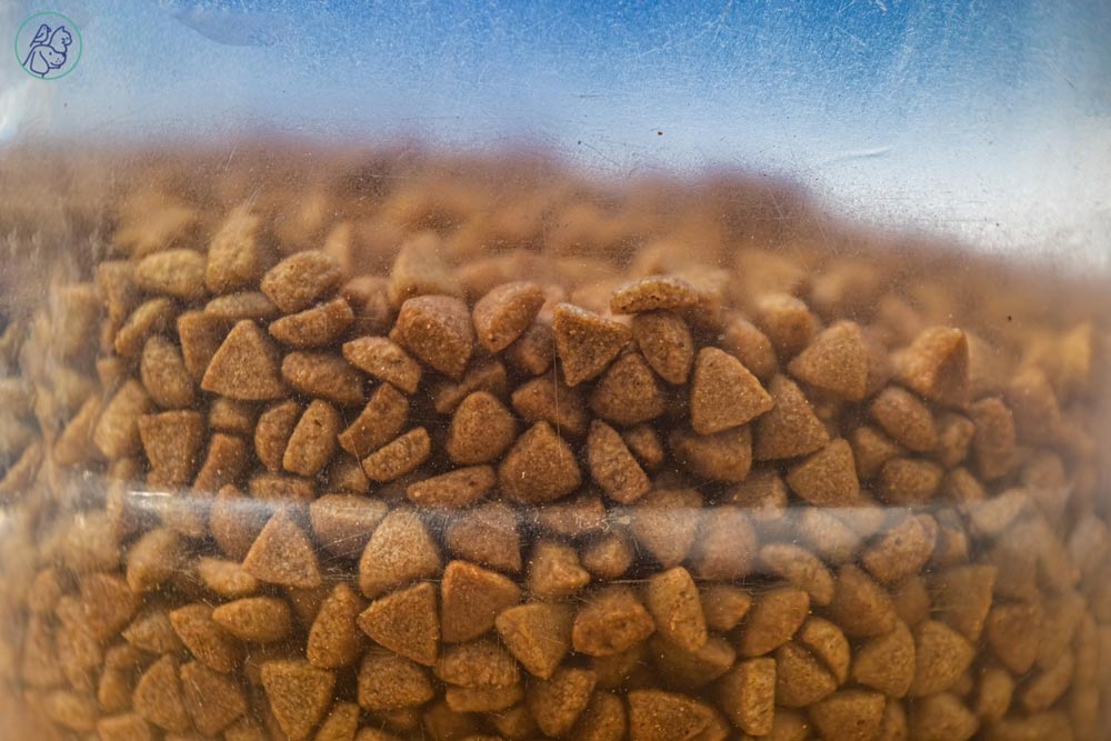 راهنمای خرید غذای خشک گربه بر اساس سن و نژاد