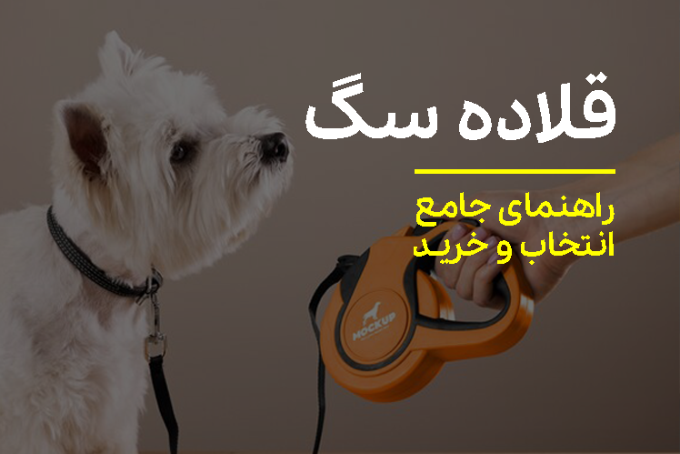  قلاده سگ | راهنمای جامع برای انتخاب بهترین و ایمن‌ترین قلاده