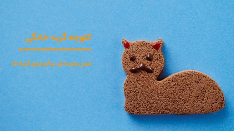 طرز تهیه کلوچه گربه خانگی سالم و خوش‌عطر | آموزش قدم‌به‌قدم + نکات تغذیه‌ای