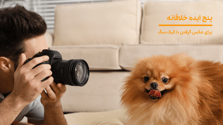 پنج ایده خلاقانه برای عکس‌ گرفتن با کیک تولد سگ