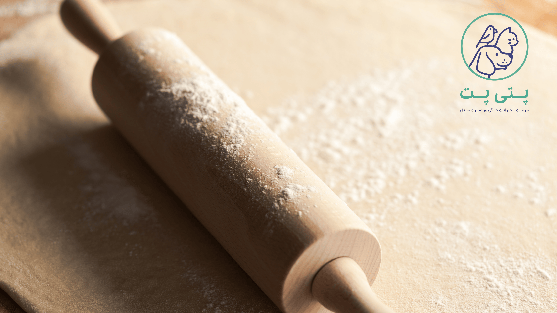 موارد مورد نیاز برای تهیه کوکی سگ خانگی