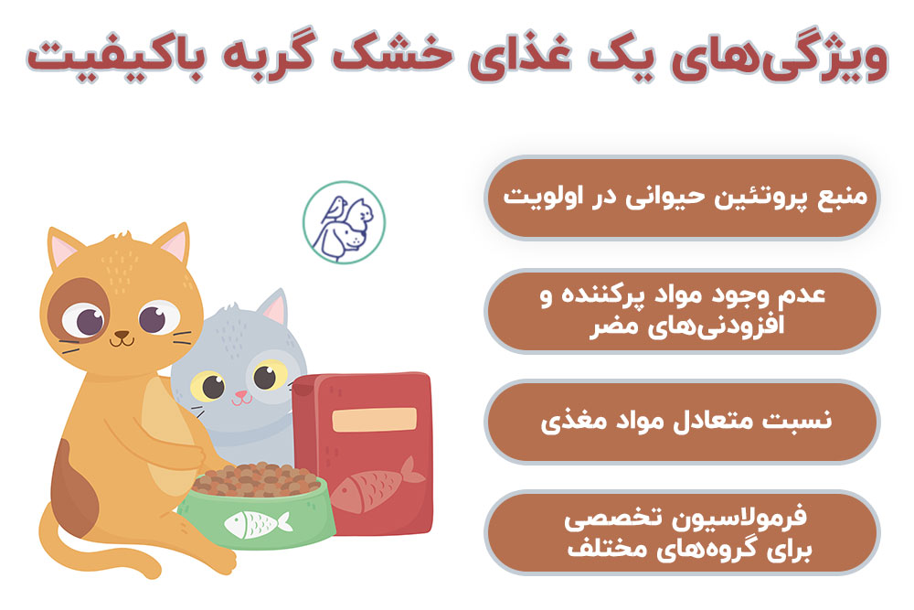 ویژگی‌های یک غذای خشک گربه باکیفیت